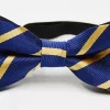Yellow & Navy Boys Bowtie