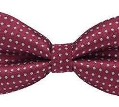 Polka Dot Boys Bowtie (Burgundy)