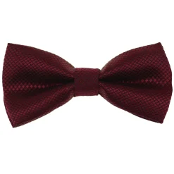 Alternative view of Diamond Pattern Boys Bowties (Burgundy)