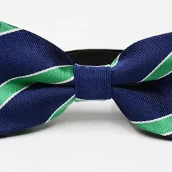 Alternative view of Green & Navy Boys Bowtie