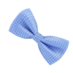 Alternative view of Polka Dot Boys Bowtie (Sky Blue)