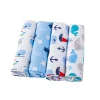 Receiving Blanket Set (Boys)